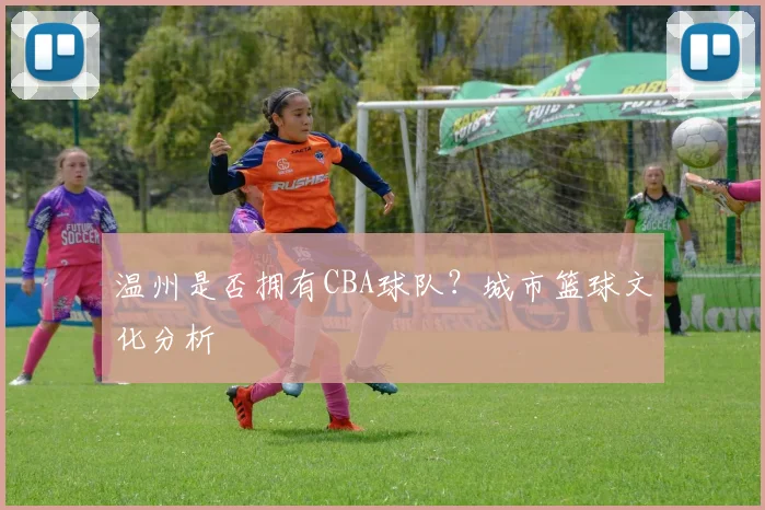 温州是否拥有CBA球队？城市篮球文化分析