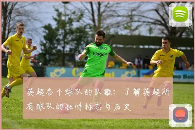 英超各个球队的队徽：了解英超所有球队的独特标志与历史