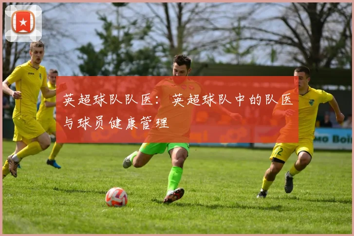 英超球队队医：英超球队中的队医与球员健康管理