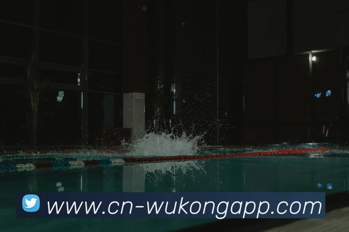 多媒体互动体验